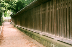 新緑へ