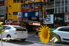 百軒店