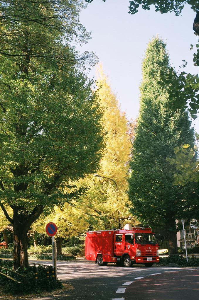 秋の紅車