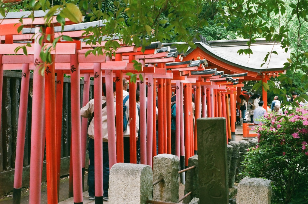 千本鳥居
