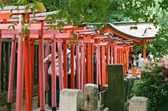 千本鳥居