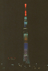 夜の塔