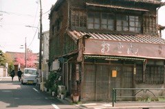 おせんの桜