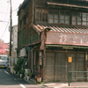 おせんの桜