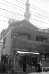 向島物語