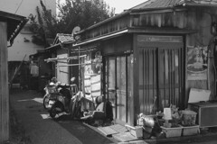 残照のスクーター