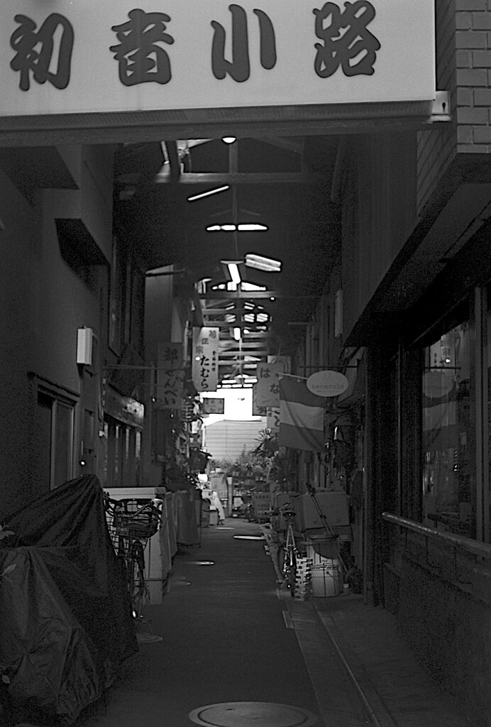 ただいまの小道