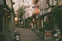 辰巳新道
