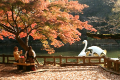 白鳥さん