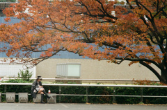 秋の国立競技場