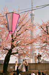 おなじみのインバウンド