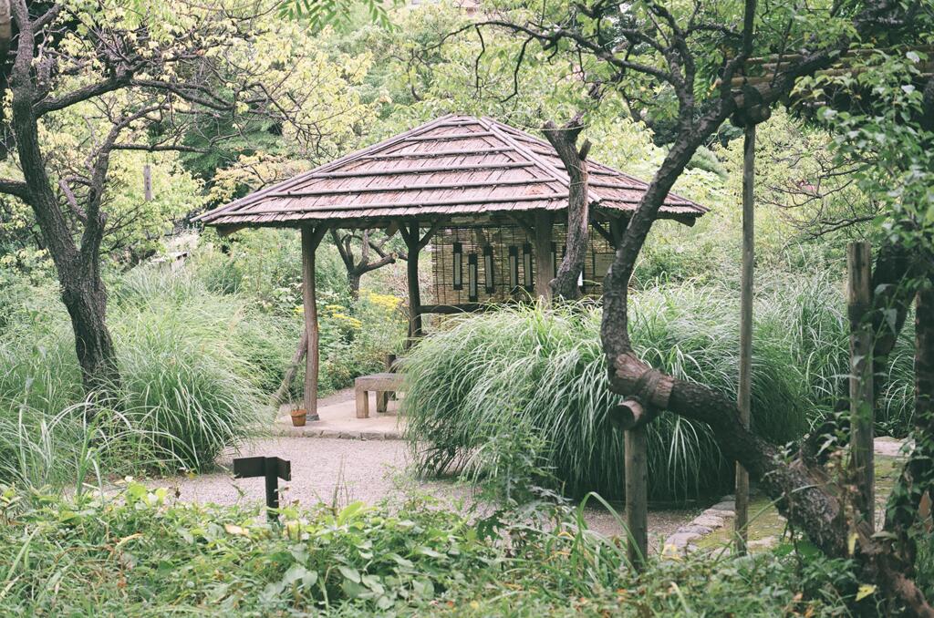 向島百花園 東屋