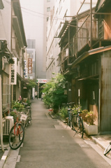 大番会館への道