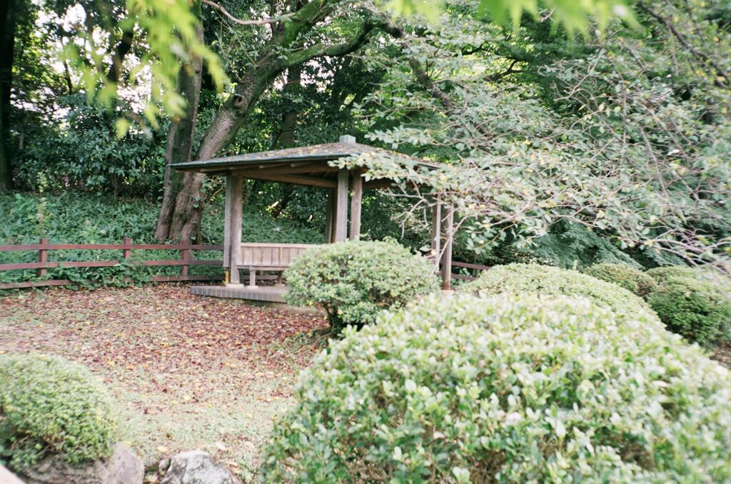 言の葉の庭　東屋