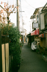 パーマ