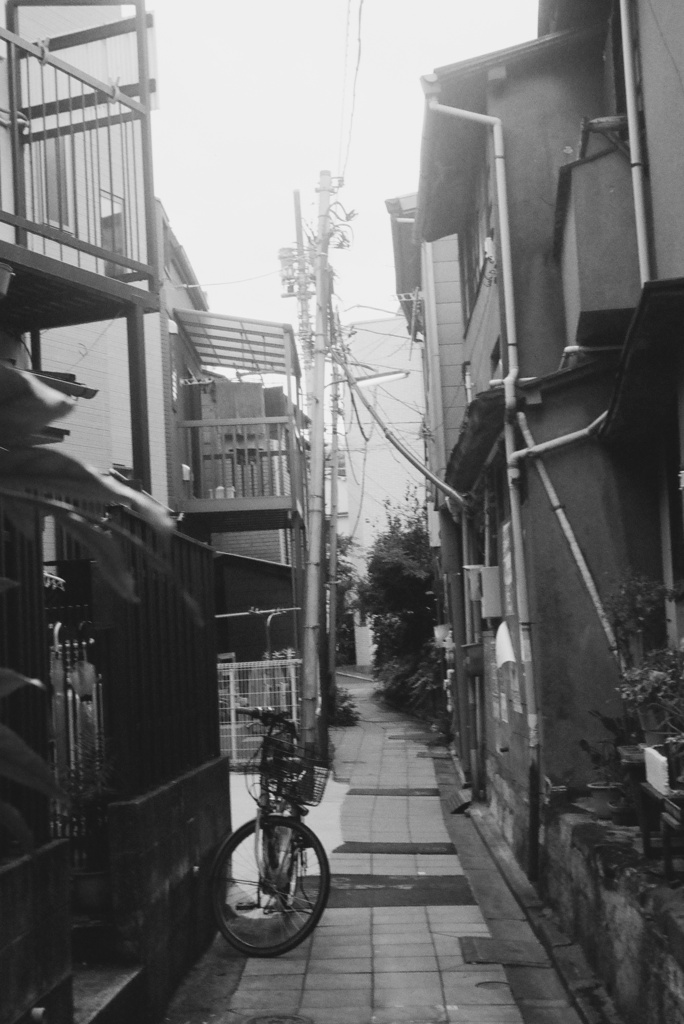 シロガネーゼは何処