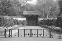門