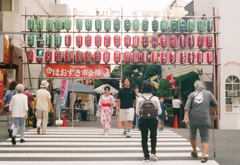 夏の横断
