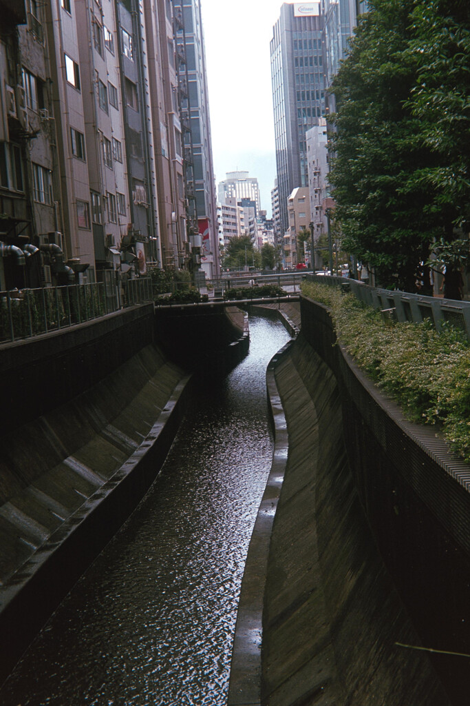 渋谷川