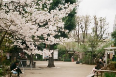鳩森神社