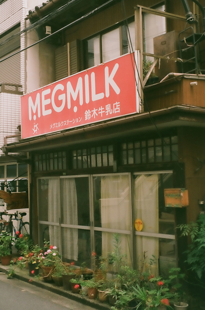 白山の赤