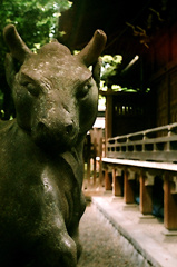 牛嶋神社