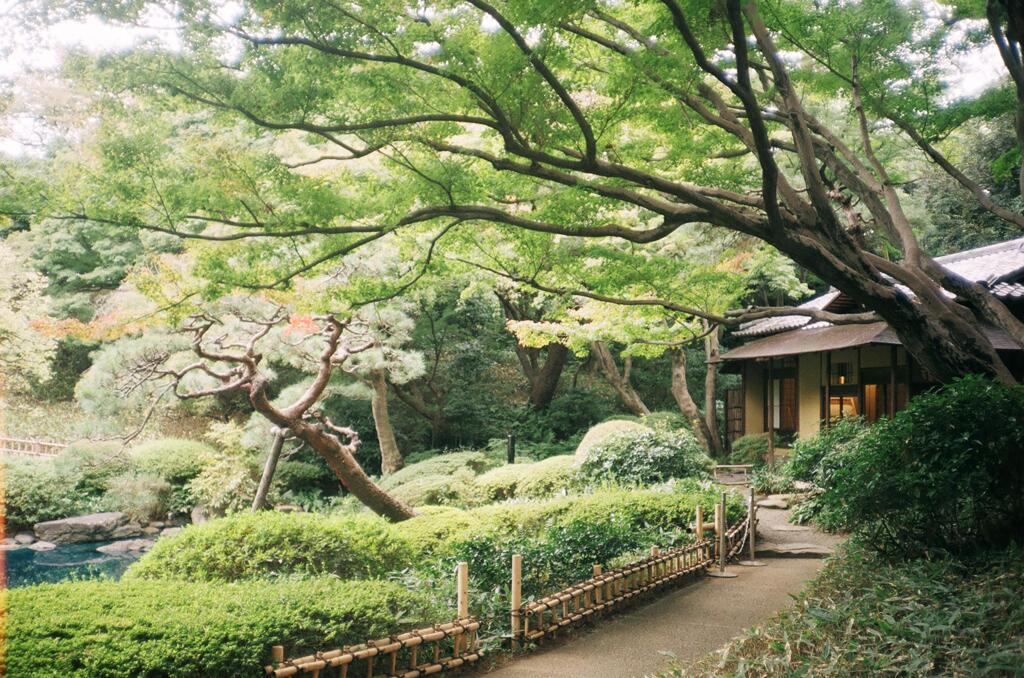 光華　庭園美術館10月