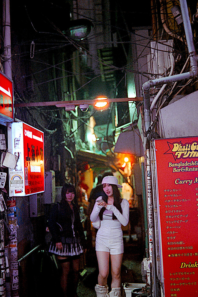 巡礼路地