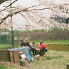 桜下の一局