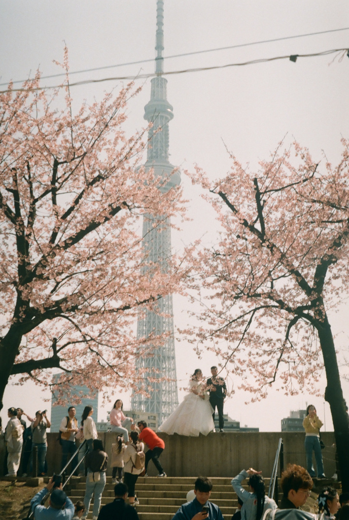 インバウンド