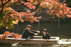 秋の公園