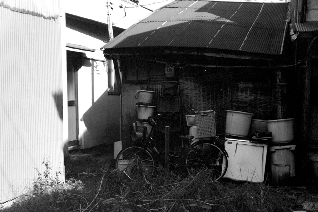 自転車と日陰の仲間たち