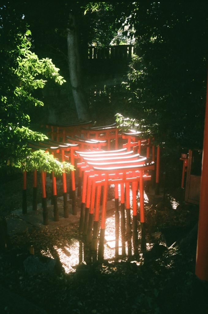 小石川 澤蔵司稲荷