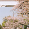 白いモノレール
