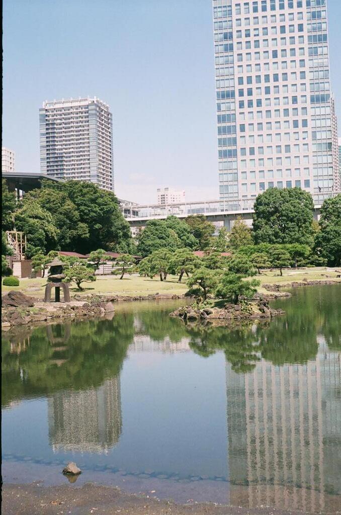 水面　浜離宮