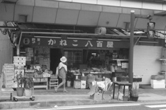 八百屋さん