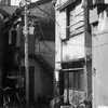 洗濯日和