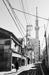 交差する時