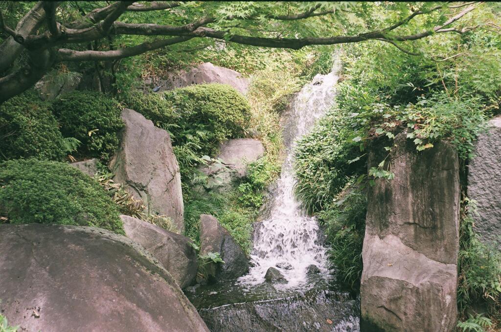 牧丘産　目白庭園