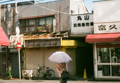 丸山市場