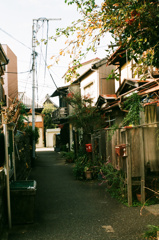 路地の長屋