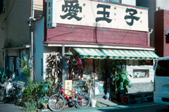 愛玉子