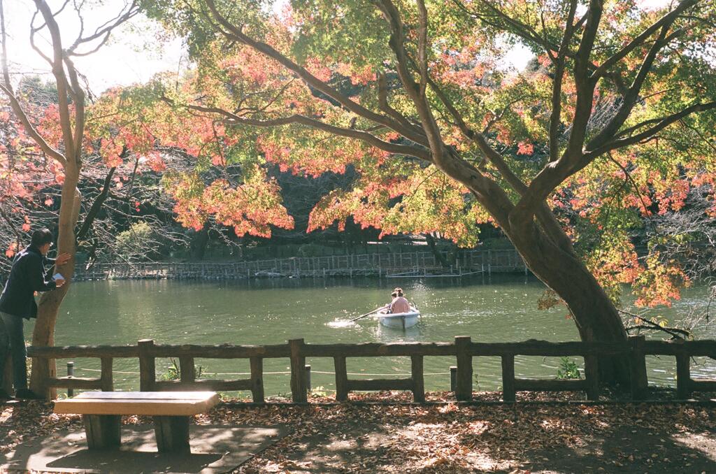 井の頭公園