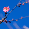 快晴