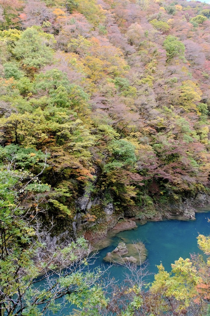 抱返り渓谷にて_1