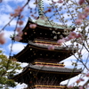 五重塔