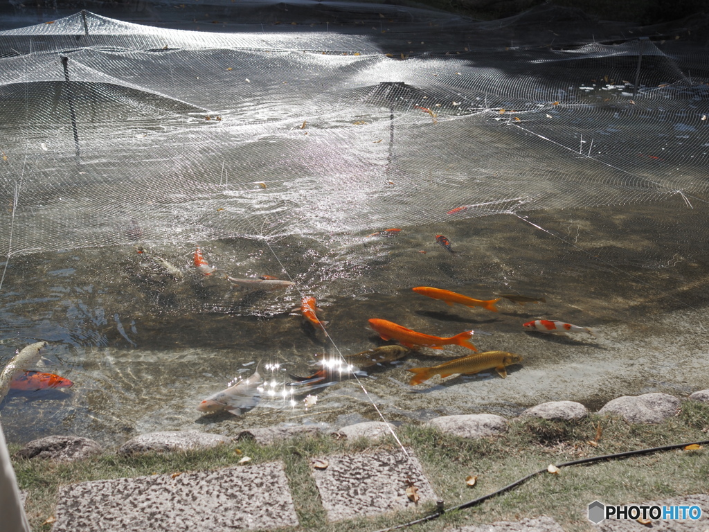 E5A83AFA-22DA-402F-A063-9D8260442FC1