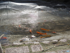 E5A83AFA-22DA-402F-A063-9D8260442FC1