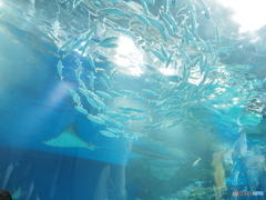 73703403-A853-456A-9BC7-B42BA20CB009