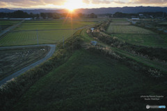 ODKs-0009